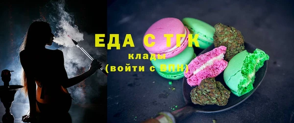 индика Аркадак