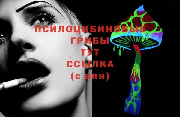 соль курить ск Арсеньев