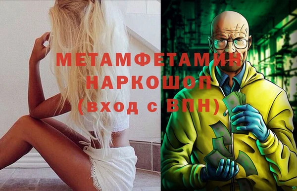 индика Аркадак