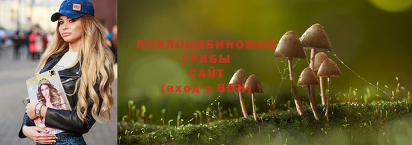 индика Аркадак