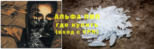 индика Аркадак