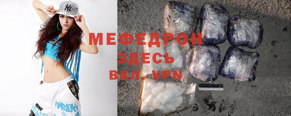 индика Аркадак